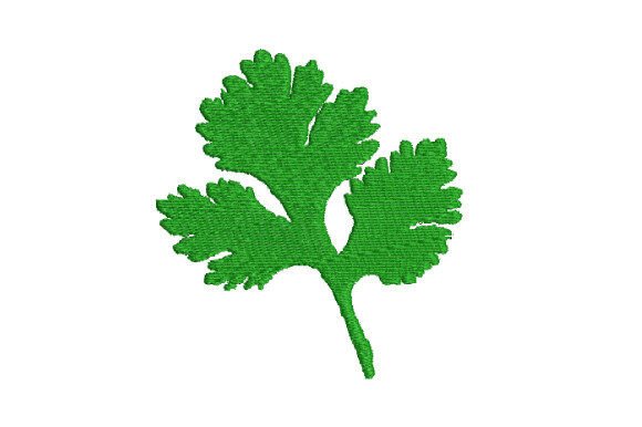 Coriander: A Fresh Twist for Handmade Embroidery Gifts