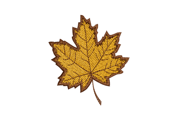Аutumn Maple Leaf: A Designer’s Review